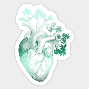 Jade Colored Anatomically Correct Human Heart - Palm Trees Sticker